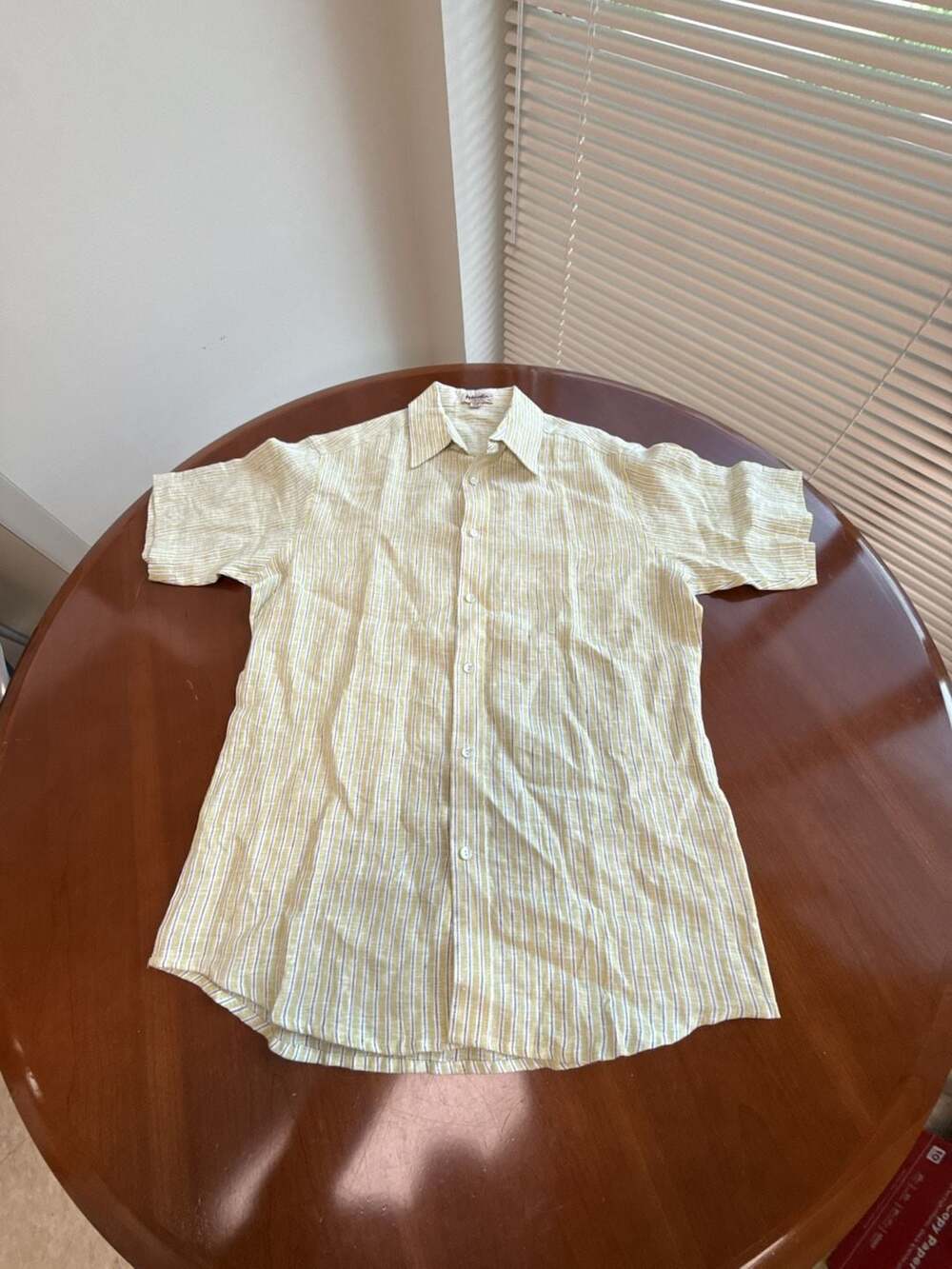 Fabindia Men's Fitted Linen Short Sleeve Striped Button-up Shirt